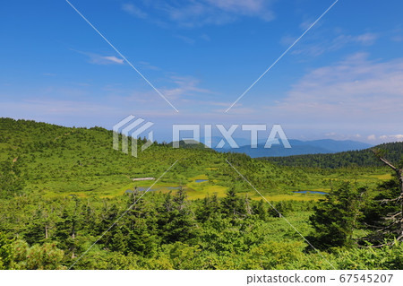 Hakkodayama in the summer, refreshing, refreshing, scenery 67545207