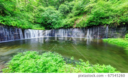 輕井澤白瀑瀑布 輕井澤白瀑瀑布 67545260
