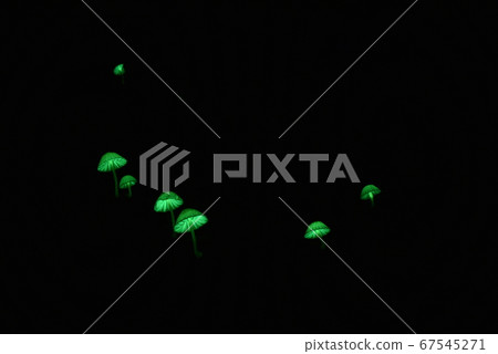 Forest fairy 6048 67545271