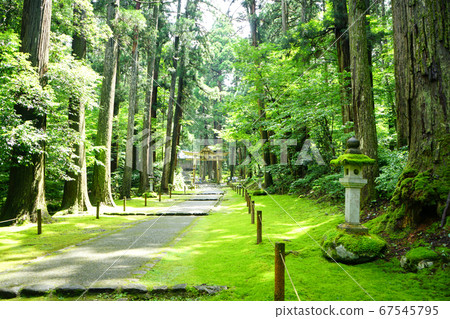 Hiraizumi Temple Hakusan Shrine, Hall of worship Ninotorii Moss temple Early summer approach 67545795