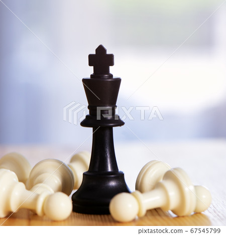 Knight of chess win , Leader success concept 67545799