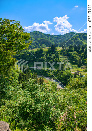 Kiyotsu River Scenery near the Kiyotsu Gorge Entrance Scenery of fresh green Tokamachi City, Niigata Prefecture 67545943