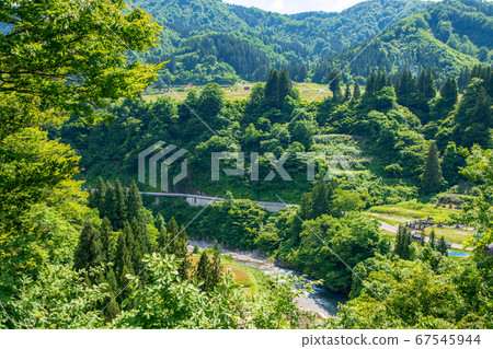 Kiyotsu River Scenery near the Kiyotsu Gorge Entrance Scenery of fresh green Tokamachi City, Niigata Prefecture 67545944