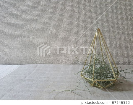 Traditional Scandinavian straw work Himmel and Air Plants Traditional Scandinavian straw work Himmel and Air Plants 67546553