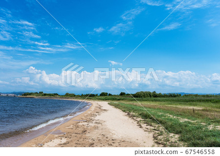 中海鳶尾河口的清新景色和乾淨舒緩的照片 67546558
