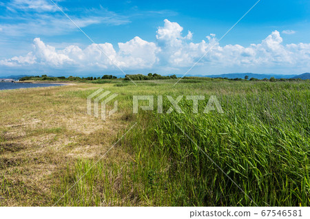 中海鳶尾河口的清新景色和乾淨舒緩的照片 67546581
