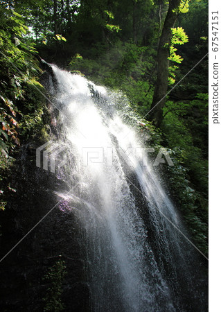 Towada City, Aomori Prefecture, Oirase Gorge, Kumoi no Taki, Cool Water Splashes 67547151