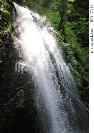 Towada City, Aomori Prefecture, Oirase Gorge, Kumoi no Taki, Cool Water Splashes Towada City, Aomori Prefecture, Oirase Gorge, Kumoi no Taki, Cool Water Splashes 67547152