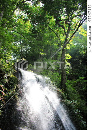 Towada City, Aomori Prefecture, Oirase Gorge, Kumoi no Taki, Cool Water Splashes Towada City, Aomori Prefecture, Oirase Gorge, Kumoi no Taki, Cool Water Splashes 67547153