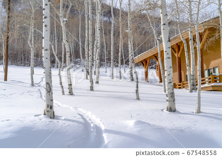 Cabin and trees on snowy mountain in Park City Cabin and trees on snowy mountain in Park City 67548558