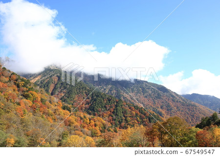Toyama Prefecture Tateyama Kurobe Alpine Route 67549547