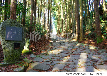 Stone pavement of Hakone Old Highway (Mishima City, Shizuoka Prefecture) 67549766