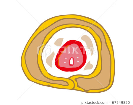 Roll cake cross section 67549830
