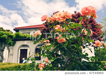 Yokohama - Yamate 67549969