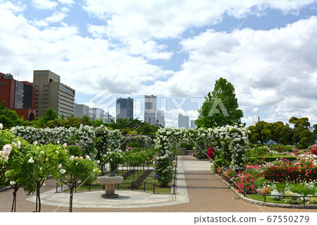 橫濱·山下公園 橫濱·山下公園 67550279