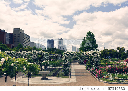 橫濱·山下公園 橫濱·山下公園 67550280