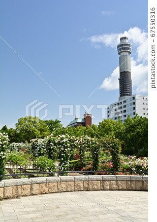Yokohama · Yamashita Park Yokohama · Yamashita Park 67550316