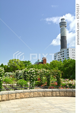Yokohama · Yamashita Park 67550317