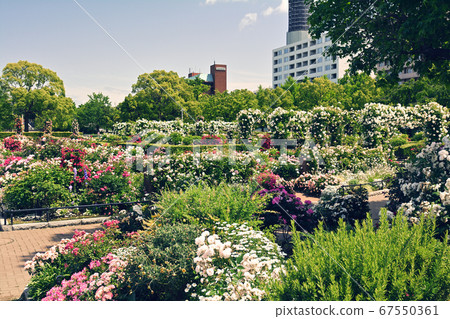 Yokohama · Yamashita Park Yokohama · Yamashita Park 67550361