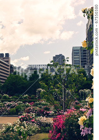 Yokohama · Yamashita Park 67550380