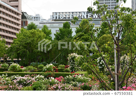 Yokohama · Yamashita Park 67550381