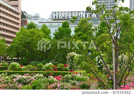 Yokohama · Yamashita Park 67550382