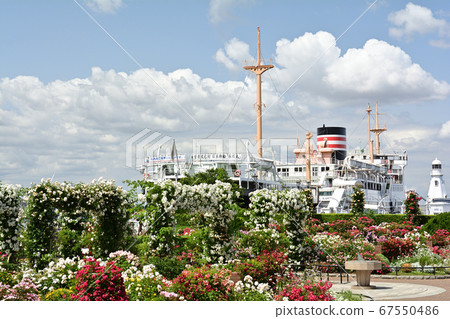 Yokohama · Yamashita Park 67550486