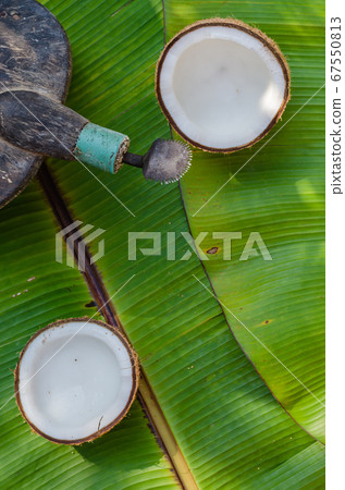 Coconut Grater and Fresh Organic Coconut on Green Banana Leaf for Asian Cooking. Coconut Grater and Fresh Organic Coconut on Green Banana Leaf for Asian Cooking. 67550813
