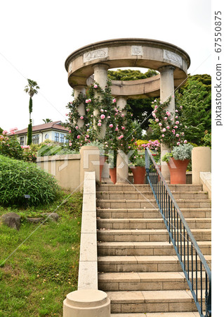可以看到橫濱·港口的山公園 67550875