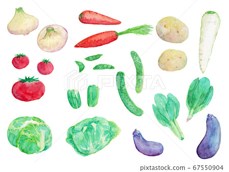 Vegetable set 67550904
