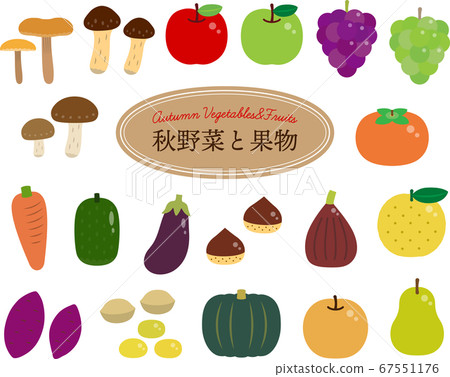 Autumn vegetables and fruits (simple ver.) Autumn vegetables and fruits (simple ver.) 67551176