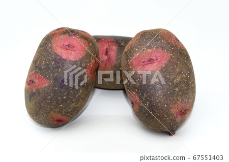 Potato (destroyer) 67551403