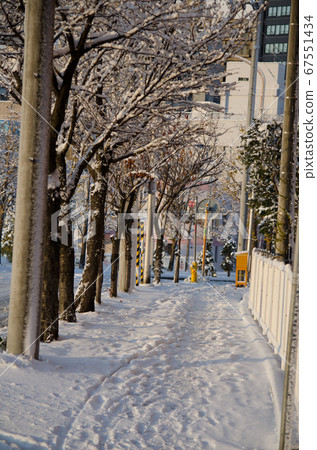 冬季雪道 67551434