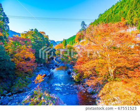 禦寒井谷的秋葉 67551523