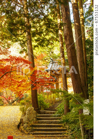 與光秀光秀相關的京都京都深岡觀光勝地,京都新三寺紅葉而聞名的地方 與光秀光秀相關的京都京都深岡觀光勝地,京都新三寺紅葉而聞名的地方 67553132
