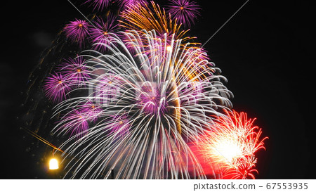 夏季礦:Uchiage煙花星礦131,帶有美麗的粉紅色Kogiku 夏季礦:Uchiage煙花星礦131,帶有美麗的粉紅色Kogiku 67553935