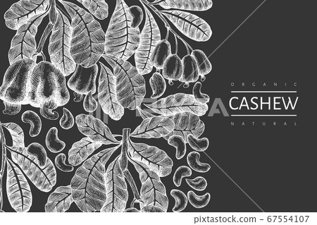 Hand drawn sketch cashew design template. Organic Hand drawn sketch cashew design template. Organic 67554107