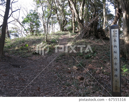 The second burial mound in the Nagara Sakurayama Burial Mounds (rear circle) The second burial mound in the Nagara Sakurayama Burial Mounds (rear circle) 67555316