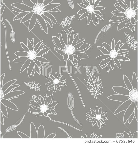 White flowers on a gray background. adonis flower. medicinal plants and herbs. Summer light floral seamless pattern White flowers on a gray background. adonis flower. medicinal plants and herbs. Summer light floral seamless pattern 67555646