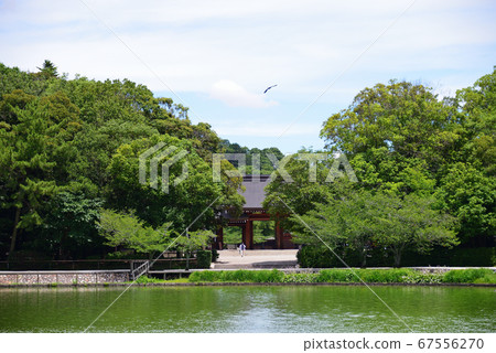 Kashihara Shrine Kashihara Shrine 67556270