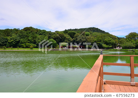  Kashihara Shrine 67556273