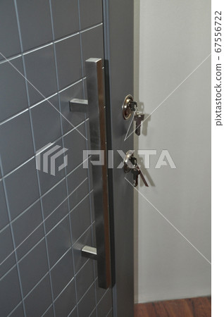 Modern wooden looking steel door, security lock system Modern wooden looking steel door, security lock system 67556722