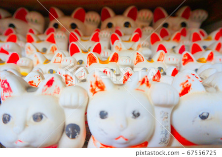 Omatsu Daigongen專用，德島縣阿南市Maneki Neko 67556725