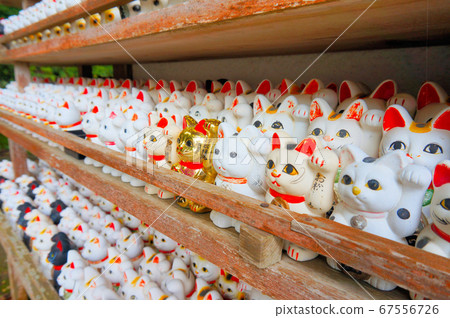 德島縣大松市大安根市安南市的許多幸運貓 67556726