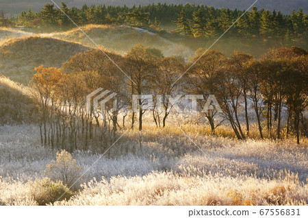 壽司濕地景觀 壽司濕地景觀 67556831