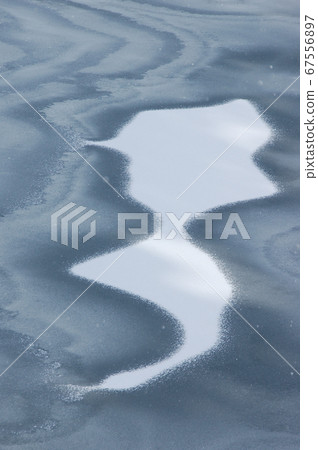雪魚游泳 雪魚游泳 67556897
