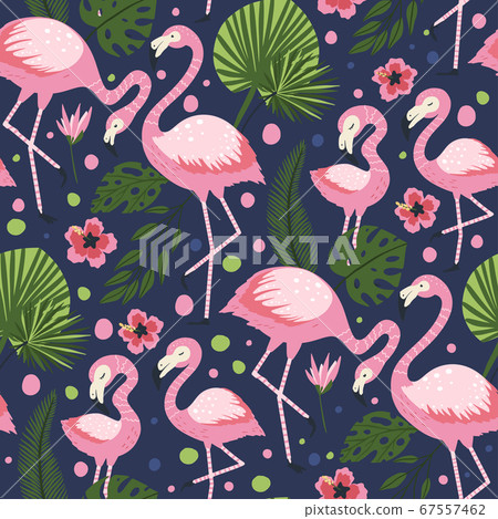 Flamingo bird vector seamless pattern. Flamingo bird vector seamless pattern. 67557462
