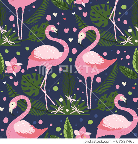 Flamingo bird vector seamless pattern. Flamingo bird vector seamless pattern. 67557463