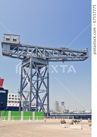 Yokohama Hammerhead 67557775