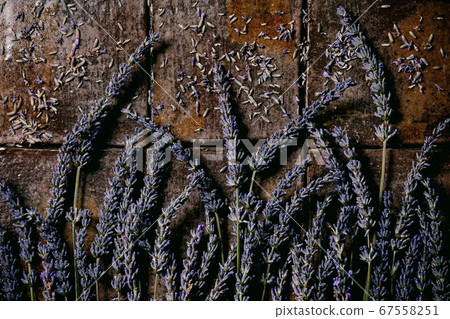 Lavender flowers on dark tile 67558251